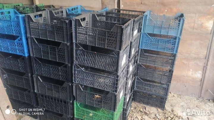 Пластиковые ящики для овощей бу