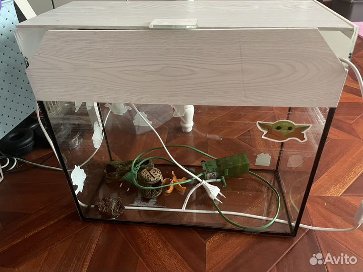 Аквариум