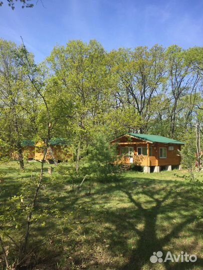 Отдых на Волге