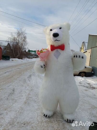 Поздравление от белого мишки 2,6 м аэромишка