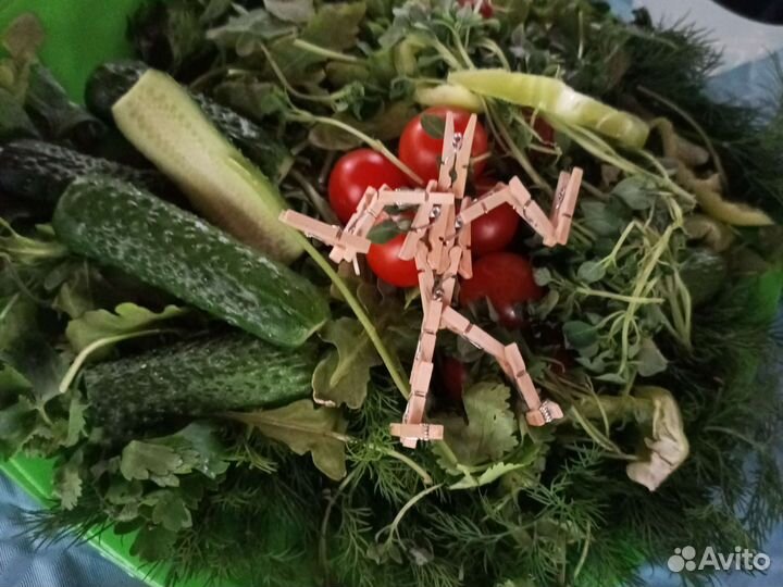 Инопланетянин дэнсер олег