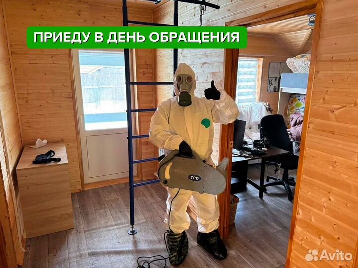 Уничтожение тараканов клопов. Дезинсекция