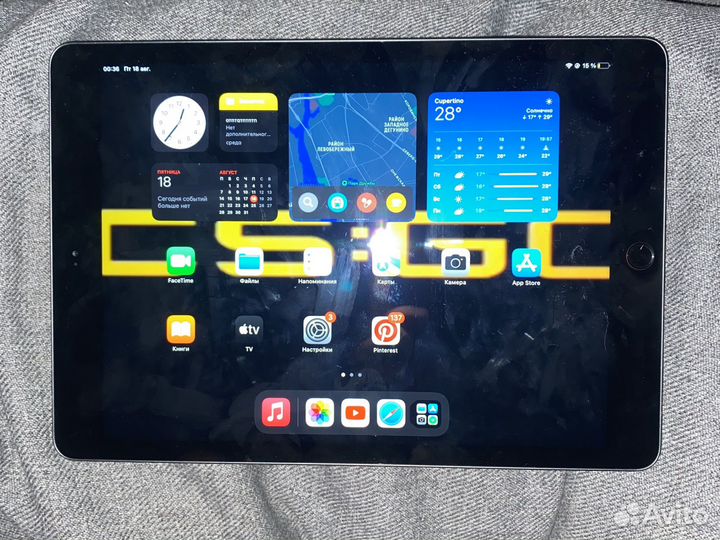 iPad