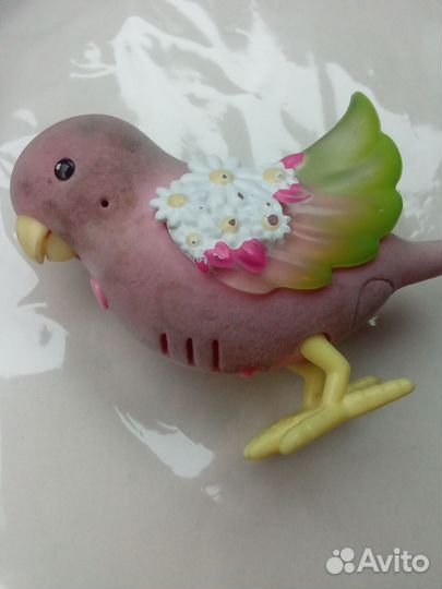 Попугайчик