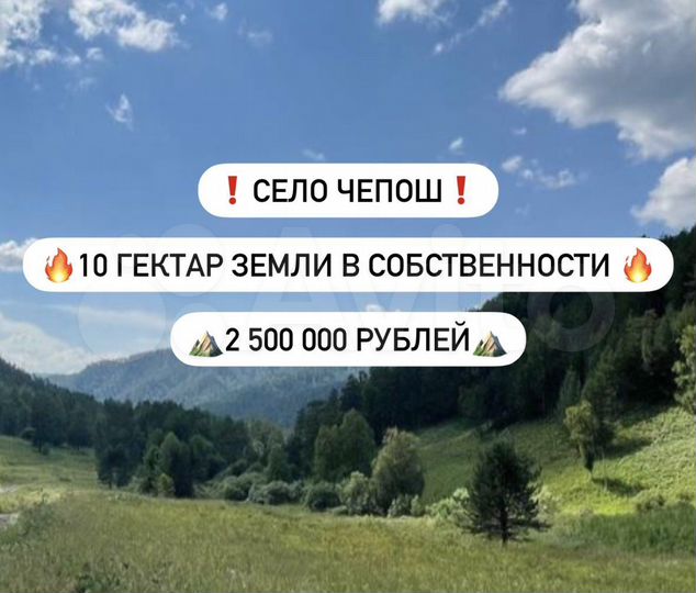 Участок 10 га (СНТ, ДНП)