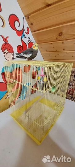 Клетка для птиц, попугая