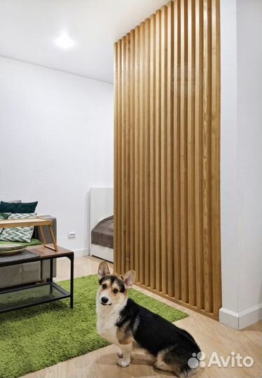 Перегородки