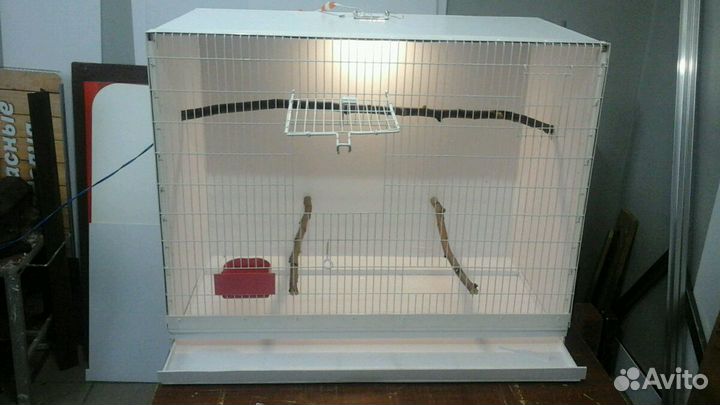 Клетки, вналичии