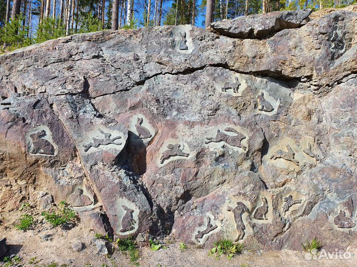 Экскурсии по Карелии. 