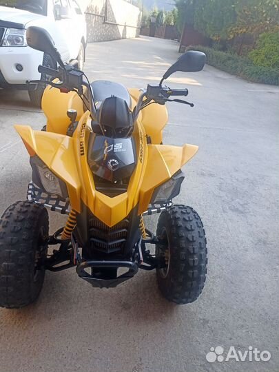 Can-am DS 250