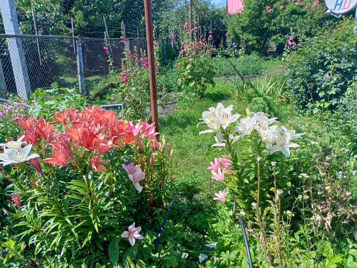 Дом 46 м² на участке 25 сот.