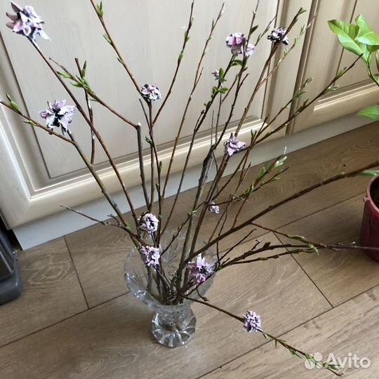 Сухоцветы в интерьере