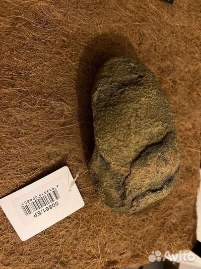 Укрытие для рептилий exo prima cozy cave