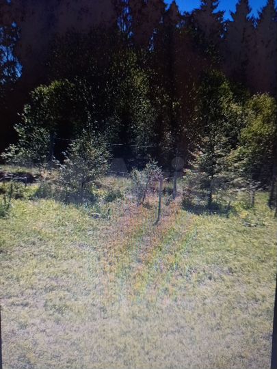 Участок 16 сот. (СНТ, ДНП)