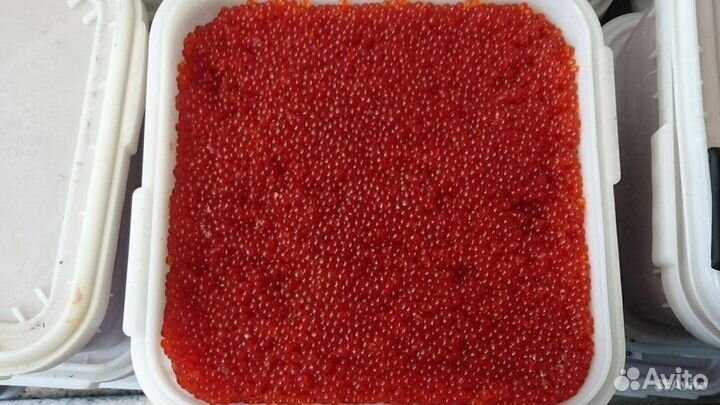 Красная Икра Форели Карелия 0,5кг sn24-2375