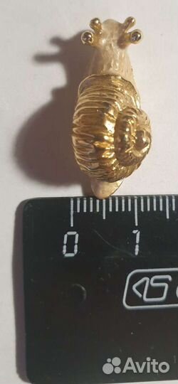 Улитка позолоченная