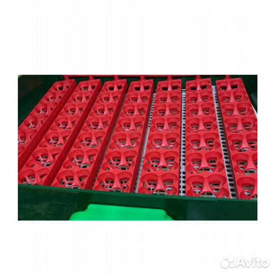 Автоматический инкубатор Hobby Farm ET 49, Италия