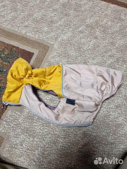 Жилетка для собаки