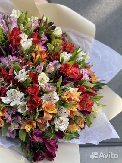 Букет из 35 Альстромерий микс