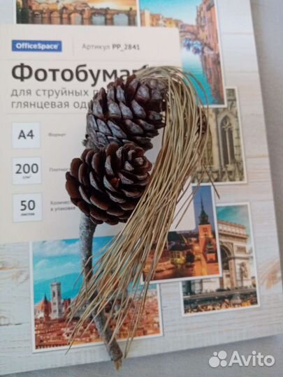 Шишки сосновые на ветках для декора