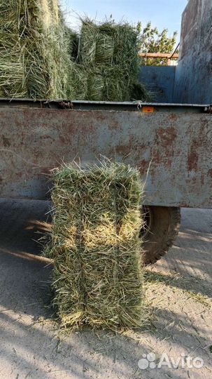 Солома, сено