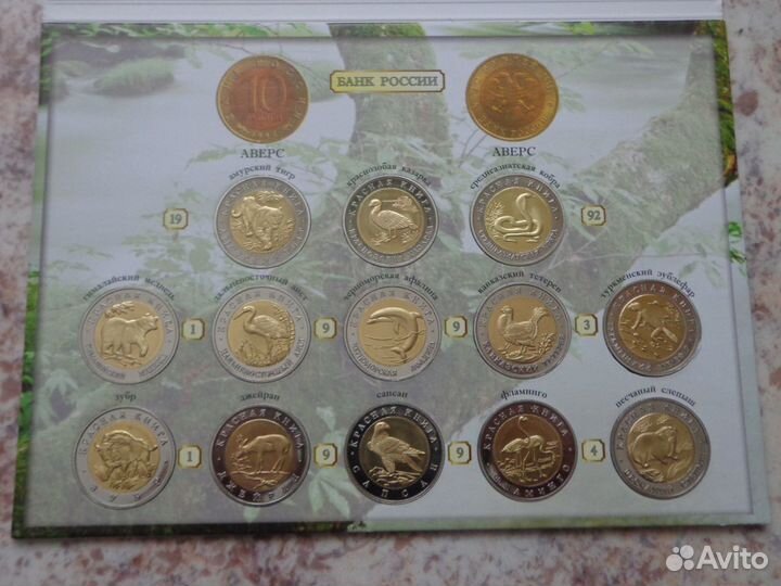 Альбом с монетами Красная книга