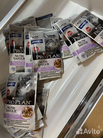 Pro Plan senior 7+ - 15 пакетов жидкого корма