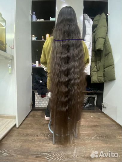 Скупка волос Нижний Новгород, принимаю волосы