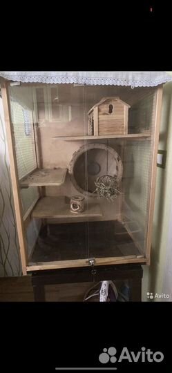 Клетка -Витрина для грызунов