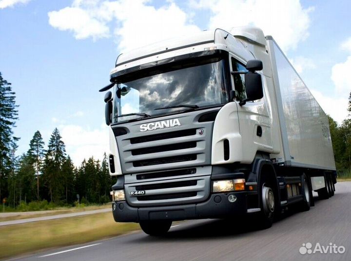 Водитель Е MO