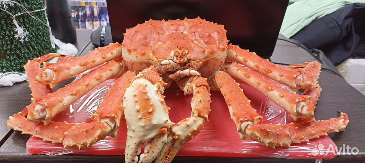 Краб камчатский целый