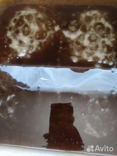 Мед-чудоГречка,разнотравие2023