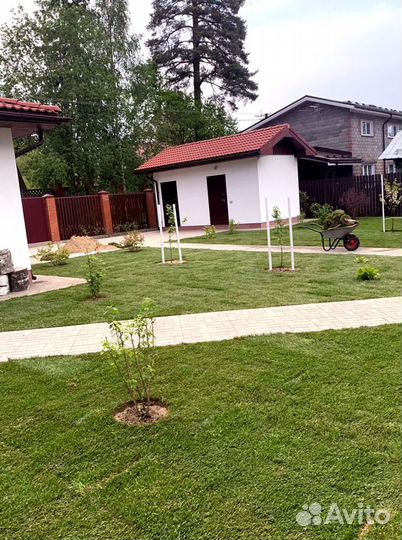 Газон в рулоне
