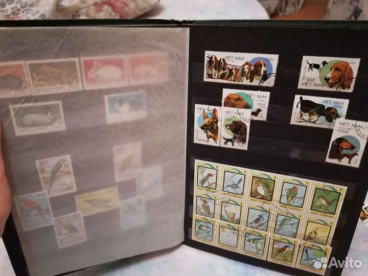 Коллекционные марки