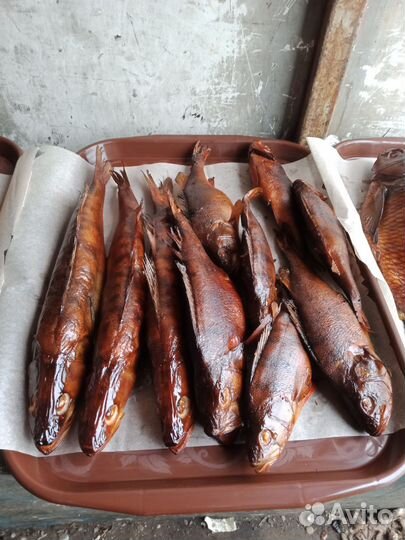 Продажа копченой и вяленой рыбы