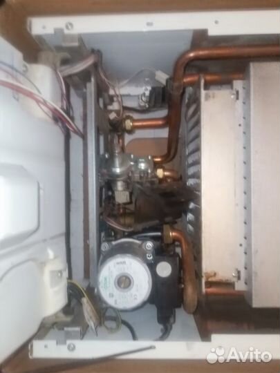 Газовый настенный котел Protherm Леопард