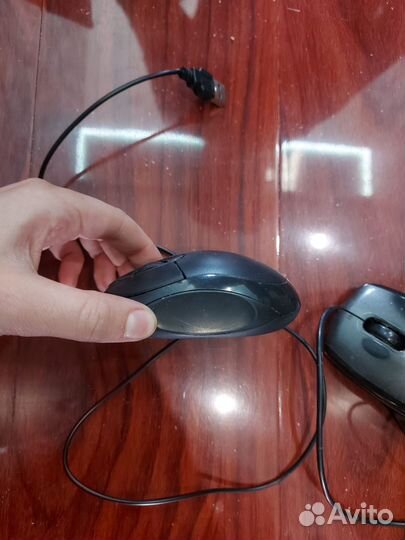 Компьютерные мыши