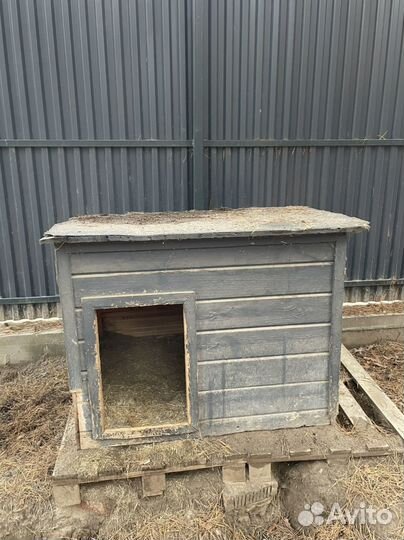 Будка для собаки. Бесплатно