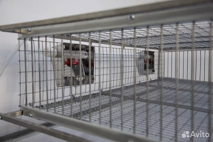 Клетка для перепелов на 165 голов из сетки