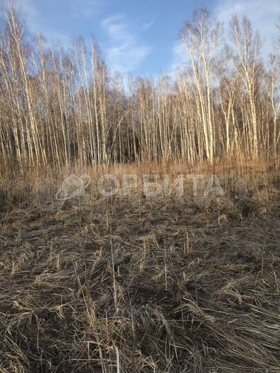 Участок 20,8 сот. (СНТ, ДНП)