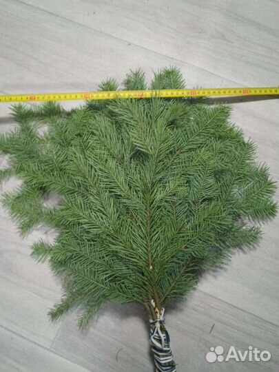 Пихтовые веники