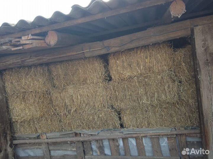 Сено солома