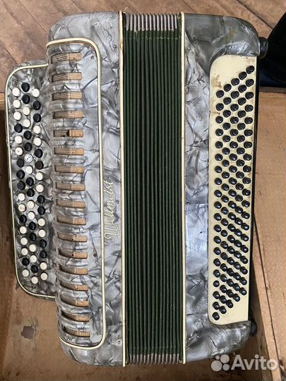 Баян weltmeister