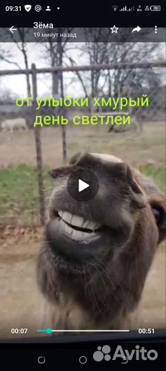 Кузовщина зис