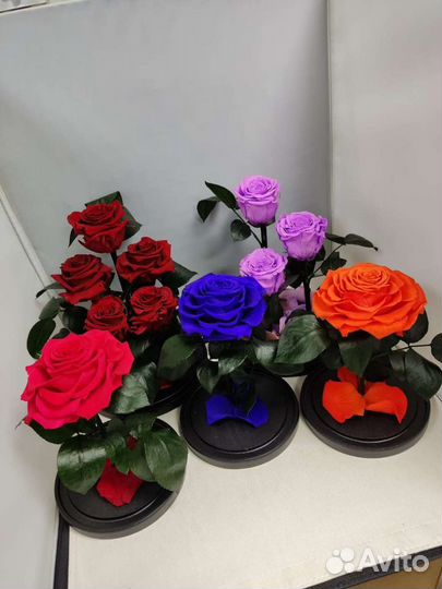 Роза в колбе оптом и в розницу