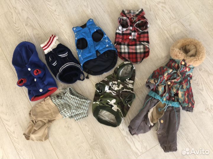 Вещи для собак для Той-терьера