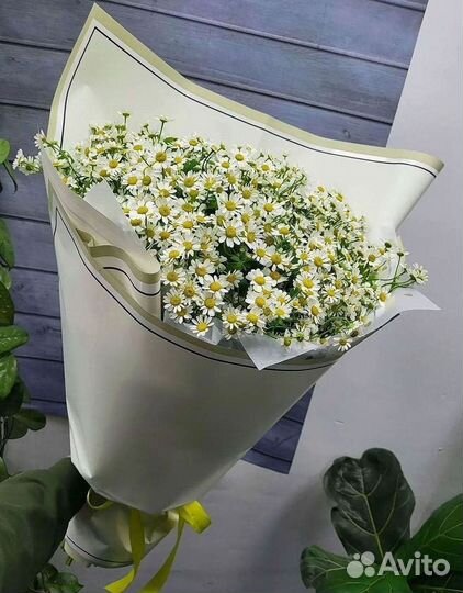 Ромашки Пионы Розы Доставка