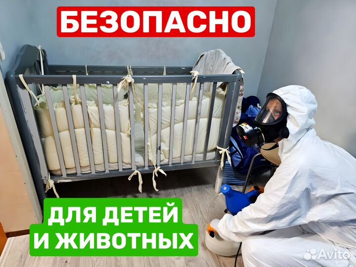 Уничтожение тараканов клопов дезинфекция