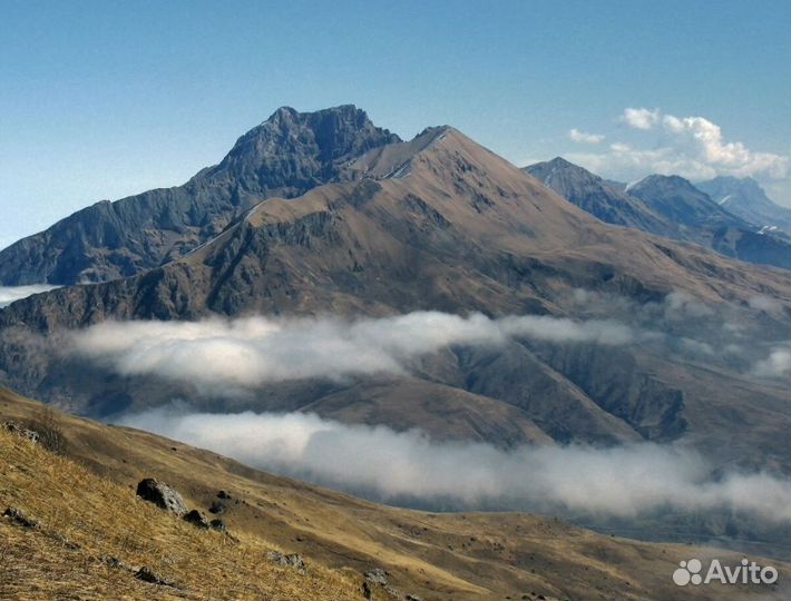 В р. Осетию на 5 дн с питанием