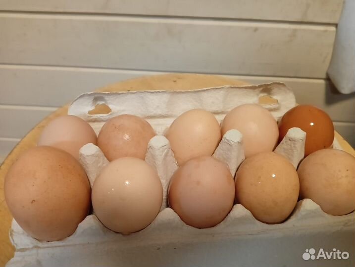 Домашние куриные яйца